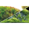 Akvariebaggrund Beplantet flod / Grønne klipper (50 cm høj) 120 cm