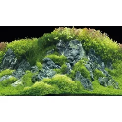 Akvariebaggrund Beplantet flod / Grønne klipper (50 cm høj) 120 cm