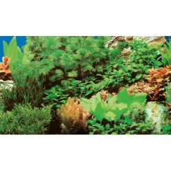 Akvariebaggrund Marin blue / Plant 8 (50 cm høj) 100 cm