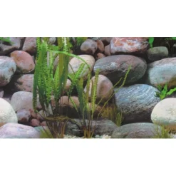 Akvariebaggrund Sten 1/2 (50 cm høj) 100 cm