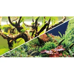 Akvariebaggrund Wood Island / Green secret (50 cm høj) 100 cm