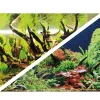 Akvariebaggrund Wood Island / Green secret (60 cm høj) pr meter