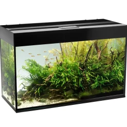 Akvarium Glossy Sort 120 cm 260 Liter