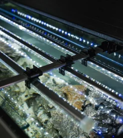 Akvarium Glossy 150 Sort 472 Liter