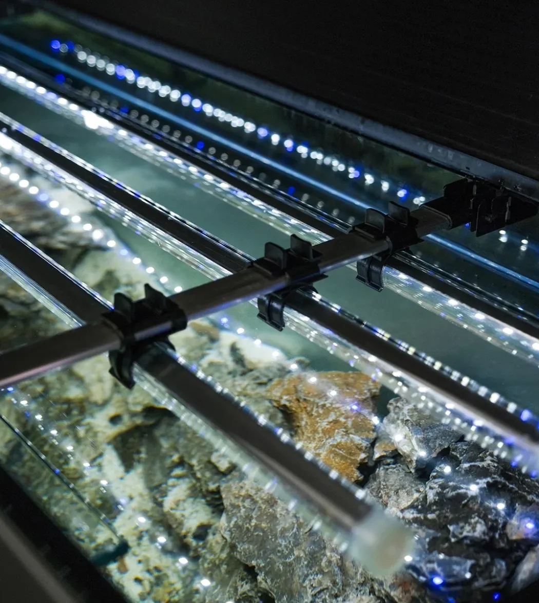 Akvarium Glossy 150 Sort 472 Liter