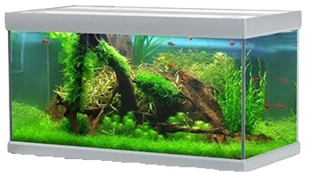 Akvastabil Fusion 325 liter akvarium