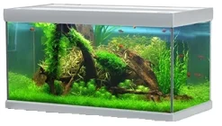 Akvastabil Fusion 576 liter akvarium