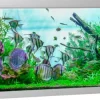 Akvastabil Fusion 900 liter akvarium