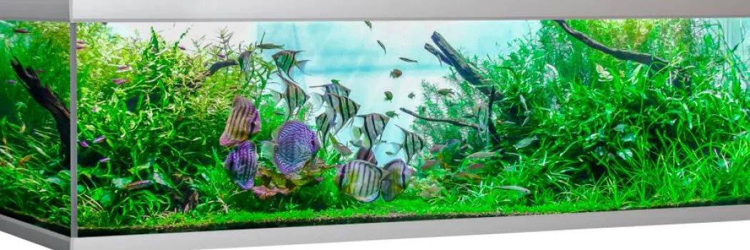 Akvastabil Fusion 900 liter akvarium