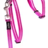 Allecat Kattesele og Linesæt 24-40 cm 1,8 m 11 mm Pink
