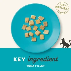 Applaws Kattegodbid Frysetørret Tun 10 gram