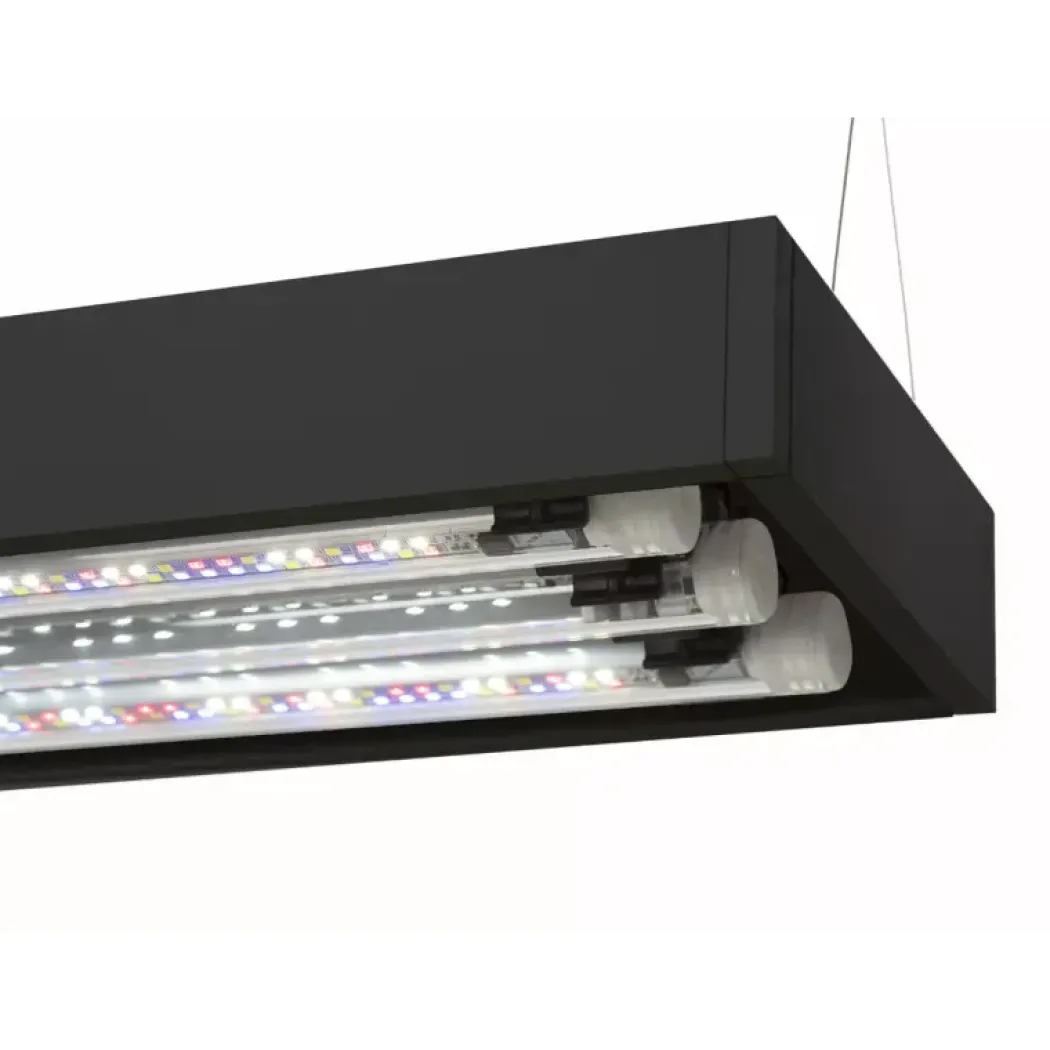 AquaEl Akvarie og Lampe Ultra Scape 60 Forest