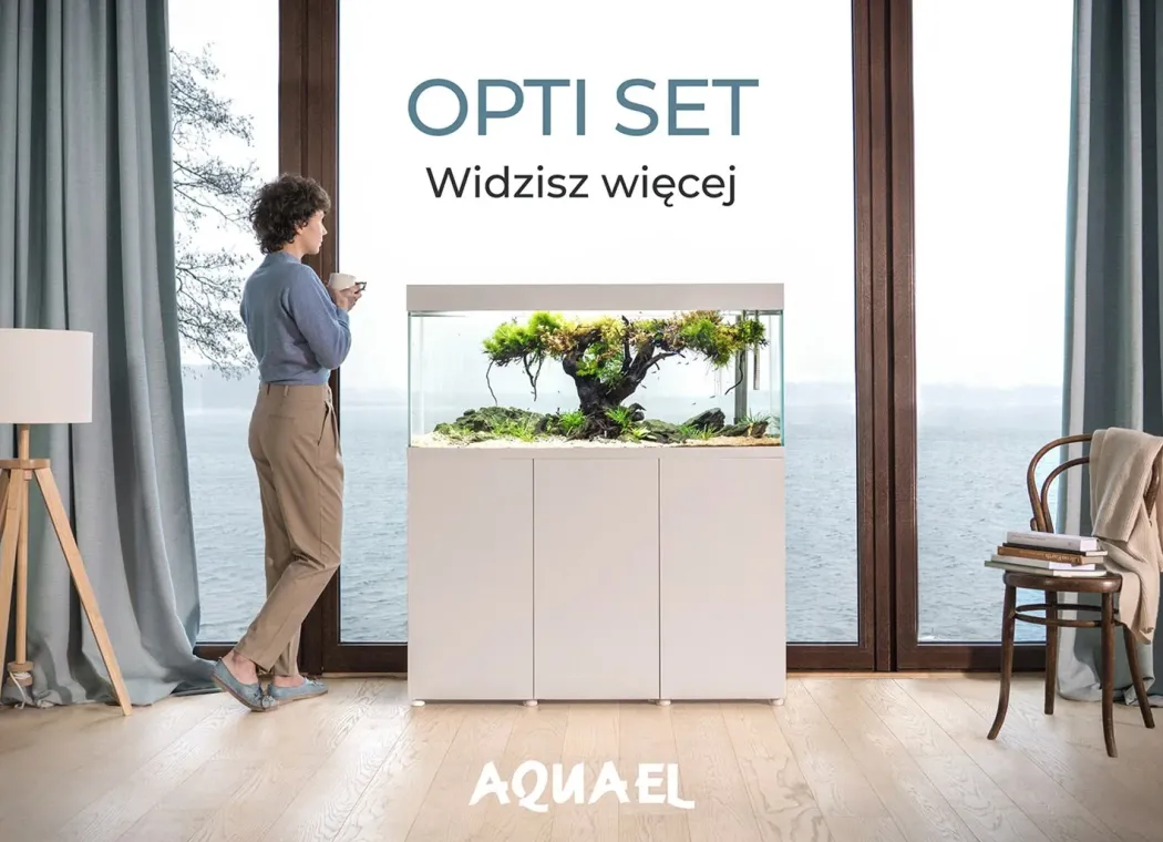 AquaEl Optiset 240 Hvidt akvarium