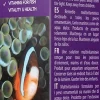 AquaForest Fish V 50 ml