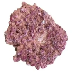 AquaForest Syntetisk Rock pr kg (Til Levende sten)