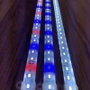 Aqualight LED Dreje lysdæmper til AquaLight LED Lampe
