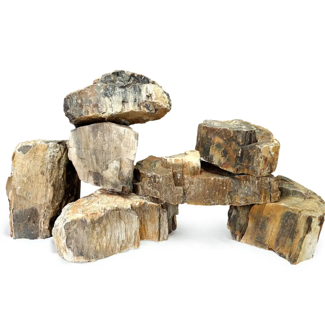 AquaScaping sten Wood Fossil pr kg