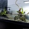 Aqua Terrarium 100x35x40,5 cm til Sumpskildpadder