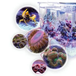 Armatus XS Saltvandsakvarium med sump 4 Liter