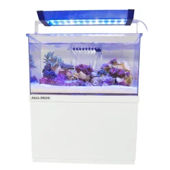 Armatus XS Saltvandsakvarium med sump 4 Liter