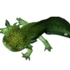 Axolotl (Ambystoma Mexicanum Green) - det evige larvestadie i akvariet