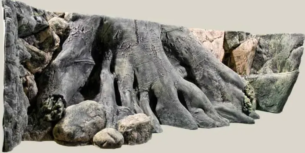 Back to Nature Amazonas 200 cm