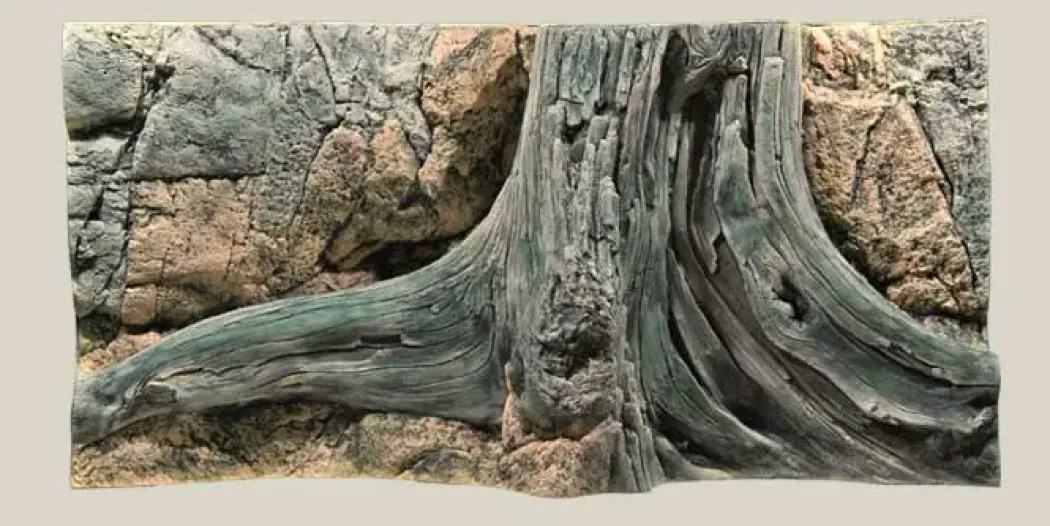 Back to Nature Amazonas 100 cm
