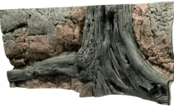 Back to Nature Amazonas 120 cm