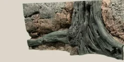 Back to Nature Amazonas 120 cm