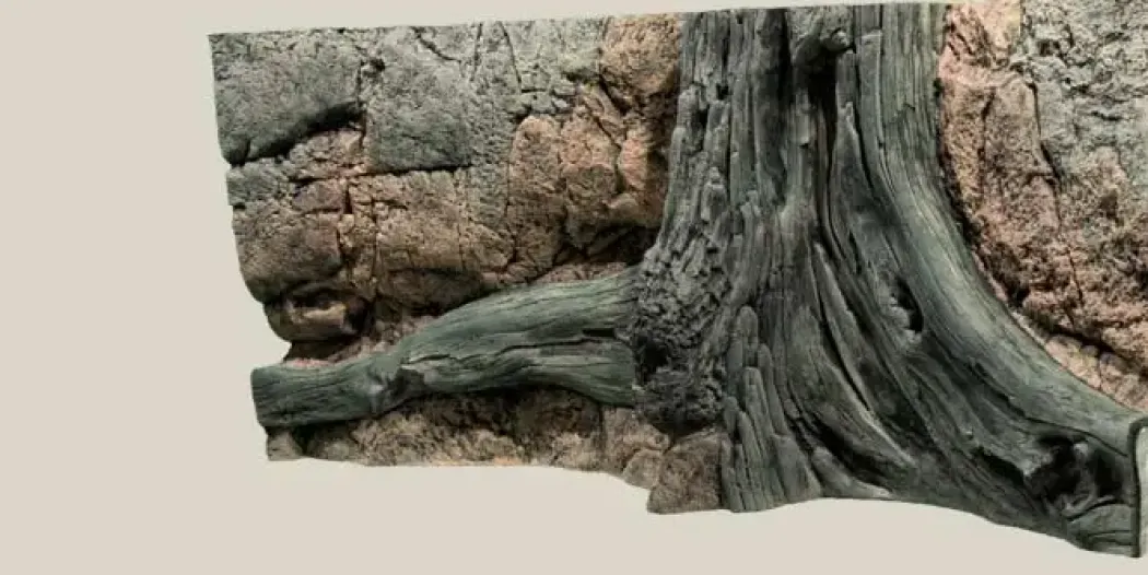 Back to Nature Amazonas 120 cm