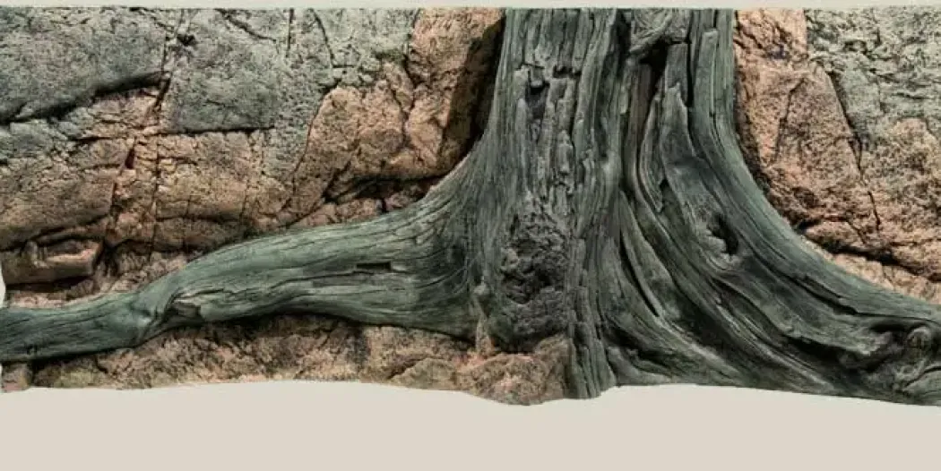 Back to Nature Amazonas 120 cm