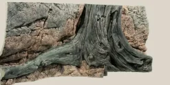 Back to Nature Amazonas 130 cm