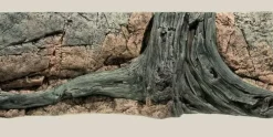 Back to Nature Amazonas 130 cm
