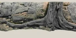 Back to Nature Amazonas 160 cm