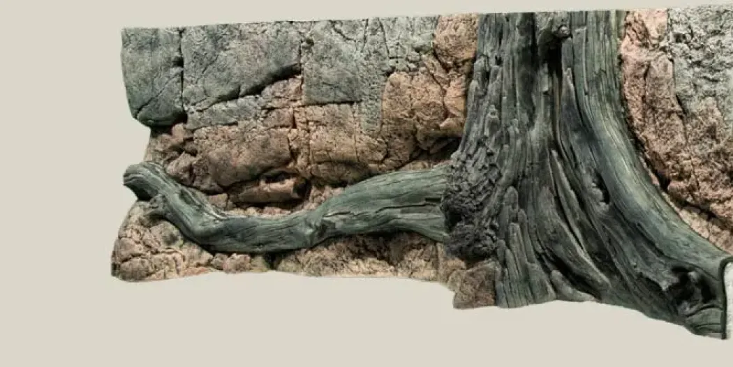 Back to Nature Amazonas 150 cm