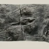 Back to Nature Orinoco Juwel 100x42 cm