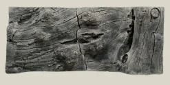 Back to Nature Orinoco Juwel 100x42 cm
