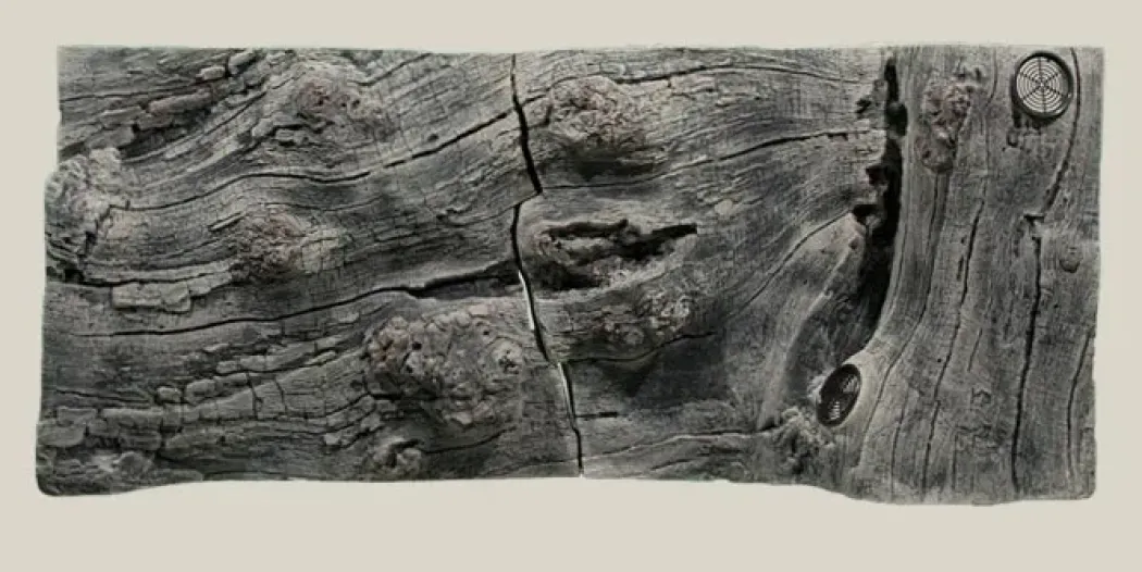 Back to Nature Orinoco Juwel 100x42 cm