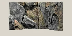 Back to Nature Rocky Juwel 80x42 cm