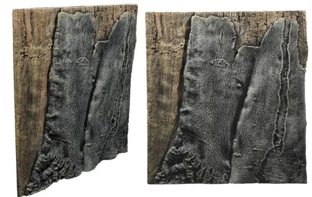 Back to Nature Slim-Line 60 B Amazone (50x55 cm)