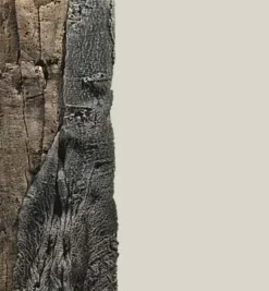 Back to Nature Slim-Line 60 C Amazone (20x55 cm)