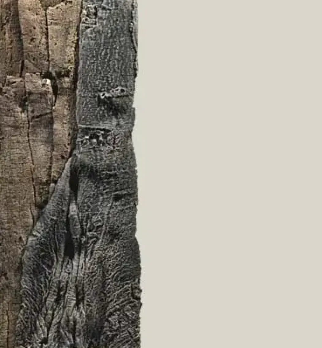 Back to Nature Slim-Line 60 C Amazone (20x55 cm)