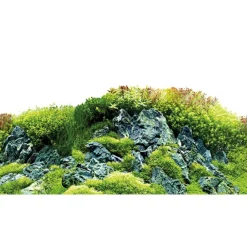 Baggrund til akvarium Scapers Hill og forest (50 cm høj) 120 cm