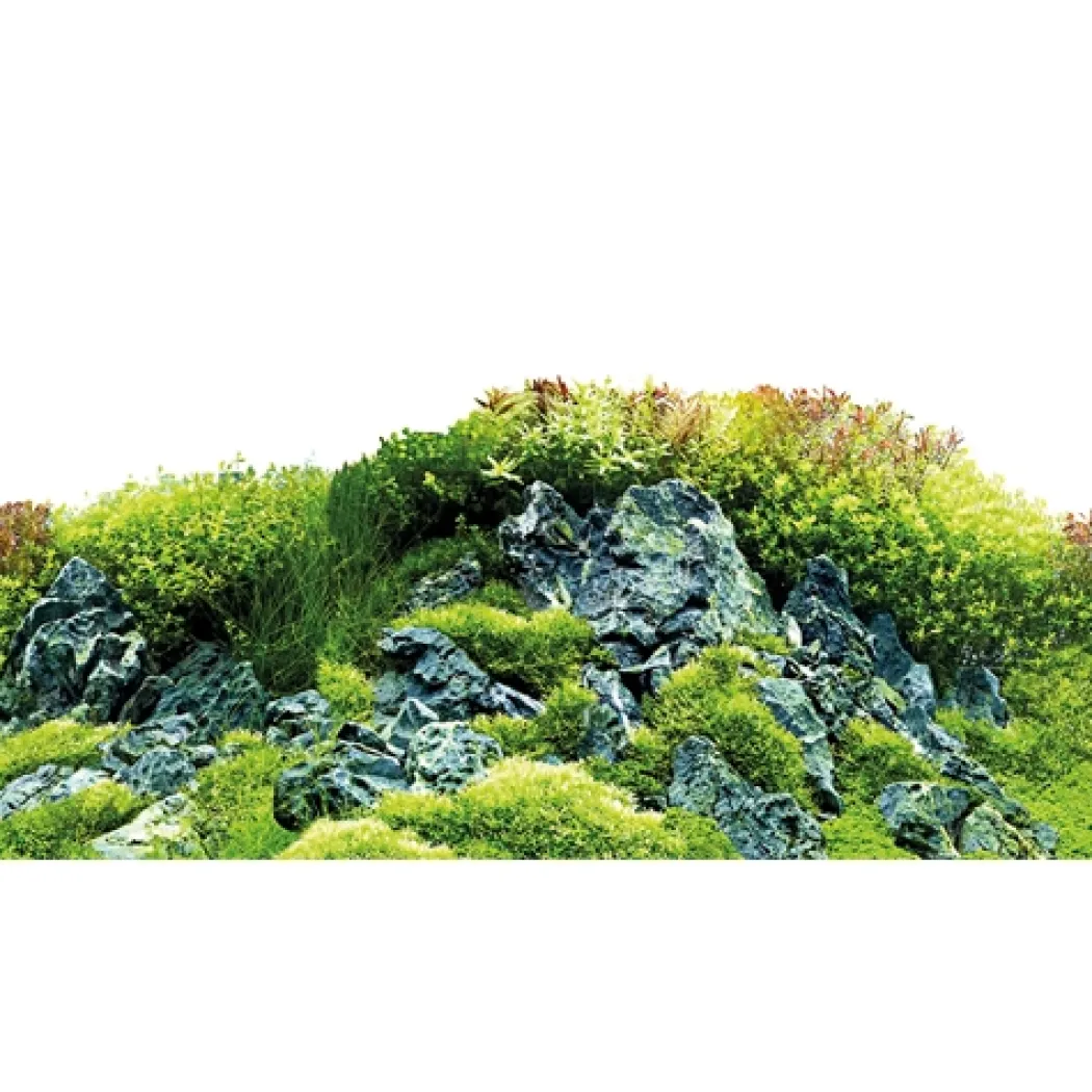 Baggrund til akvarium Scapers Hill og forest (50 cm høj) 120 cm