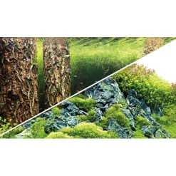 Baggrund til akvarium Scapers Hill og forest (50 cm høj) 120 cm