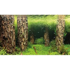 Baggrund til akvarium Scapers Hill og forest (50 cm høj) 120 cm