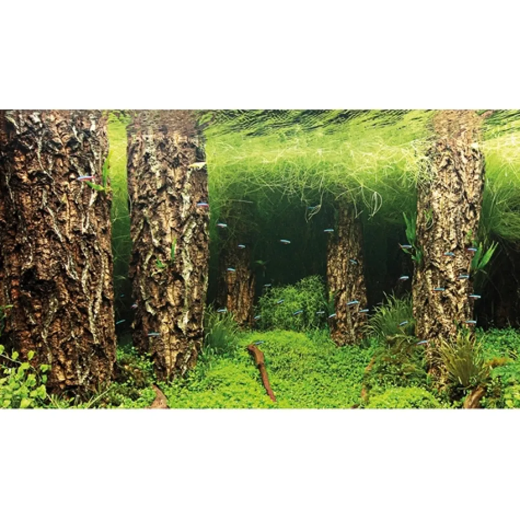 Baggrund til akvarium Scapers Hill og forest (50 cm høj) 120 cm