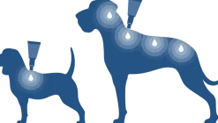 Bayvantic Vet hund 10-25 kg 4 x 2,5 ml