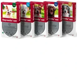 Bayvantic Vet hund 40-60 kg 4 x 6,0 ml