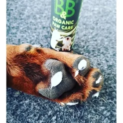 B&B Økologisk Potepleje